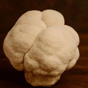 Lion’s Mane Mushrooms