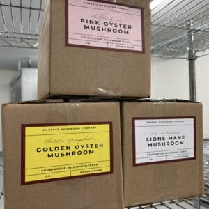 Grow Your Own Mushroom Kit