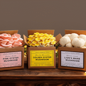 Grow Your Own Mushroom Kit