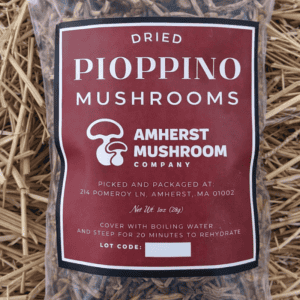 Dried pioppino mushroom package from amherst mushroom company.