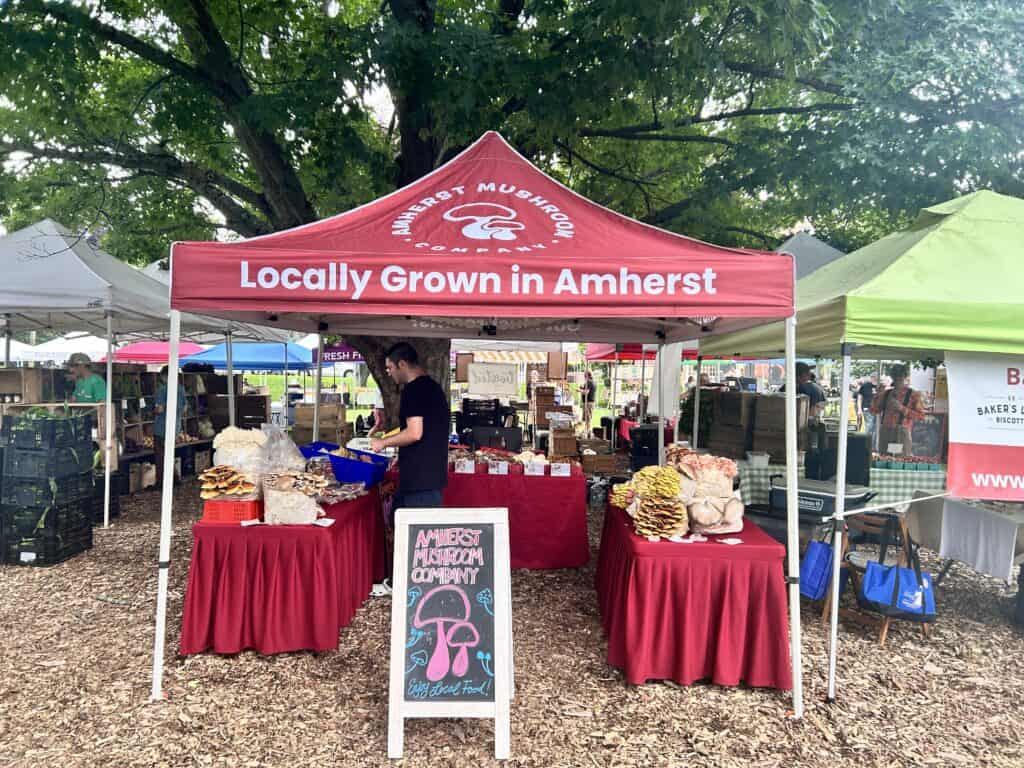 Amherst Mushroom Company at the Amherst Farmers' Market