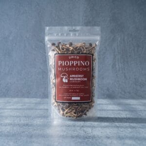 Dried Pioppino Mushrooms