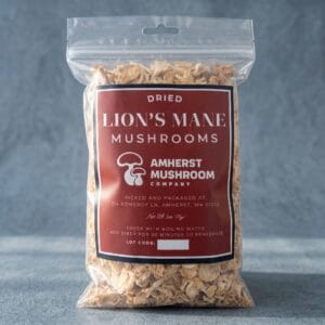 Lion's Mane Dried